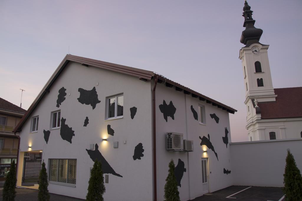 Hostel 101 Dalmatinac ヴコヴァル エクステリア 写真
